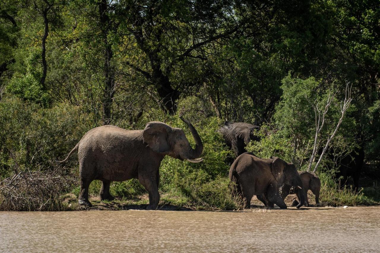 Kapama Buffalo Camp Kapama Game Reserve Экстерьер фото