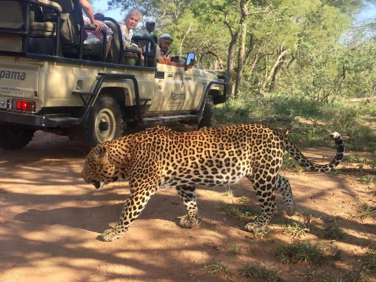Kapama Buffalo Camp Kapama Game Reserve Экстерьер фото