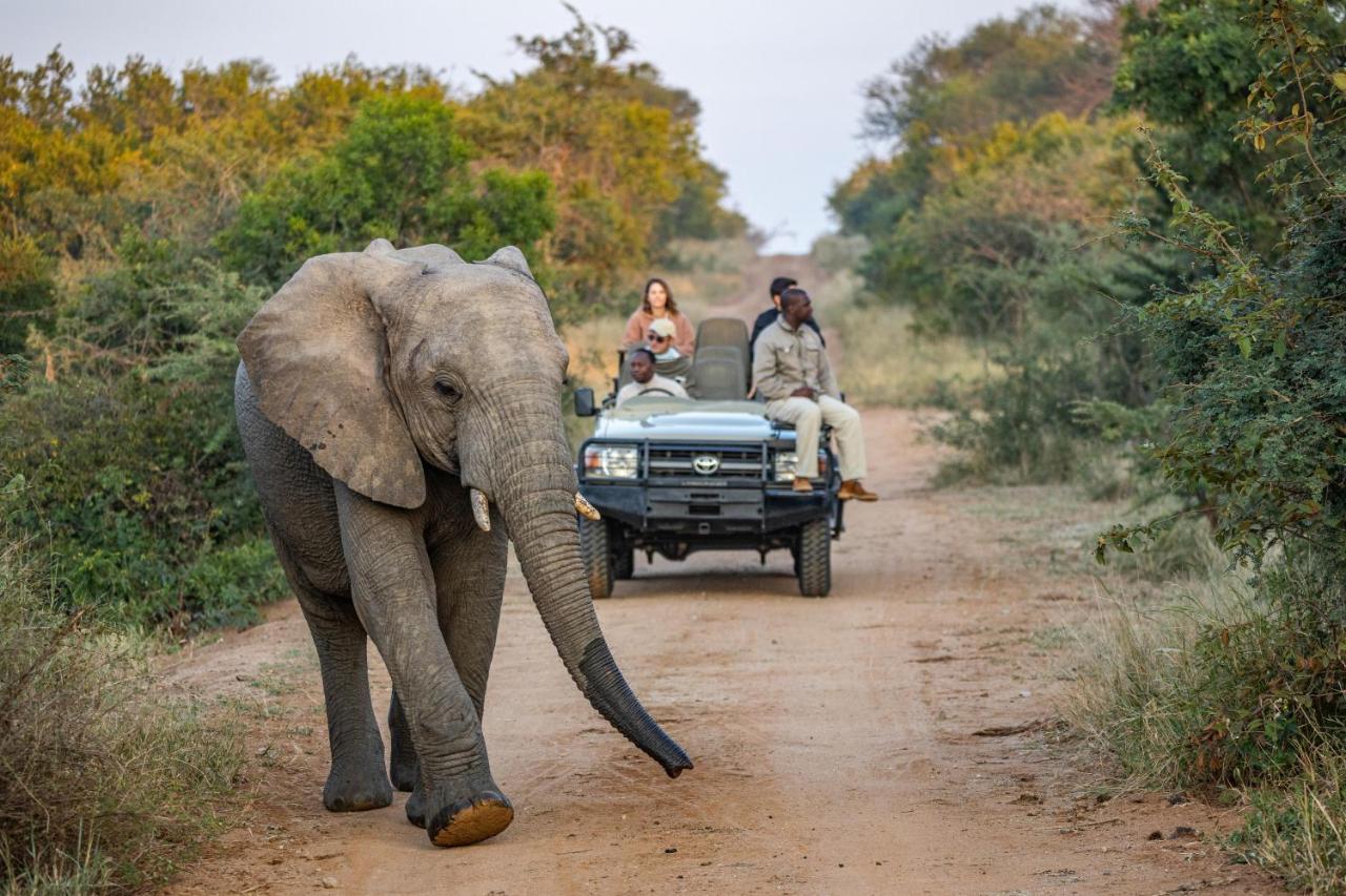Kapama Buffalo Camp Kapama Game Reserve Экстерьер фото